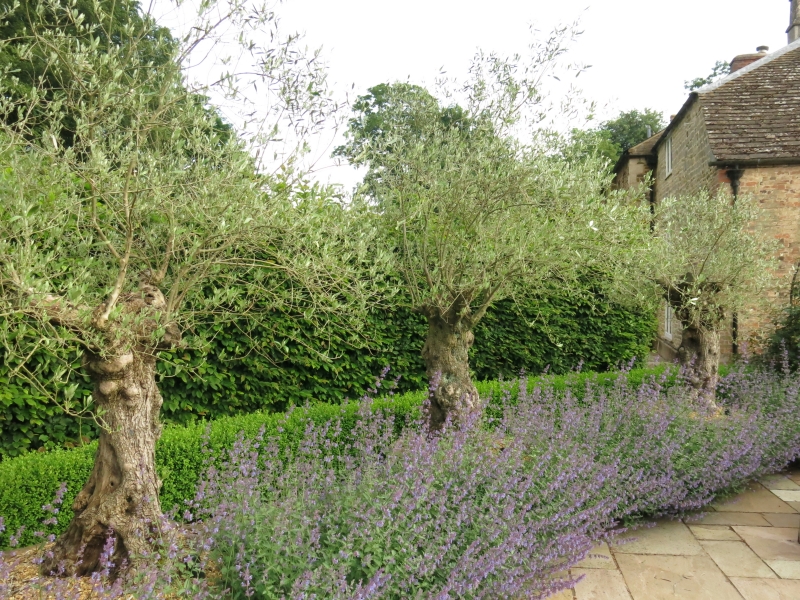 The Old Vicarage, Burley